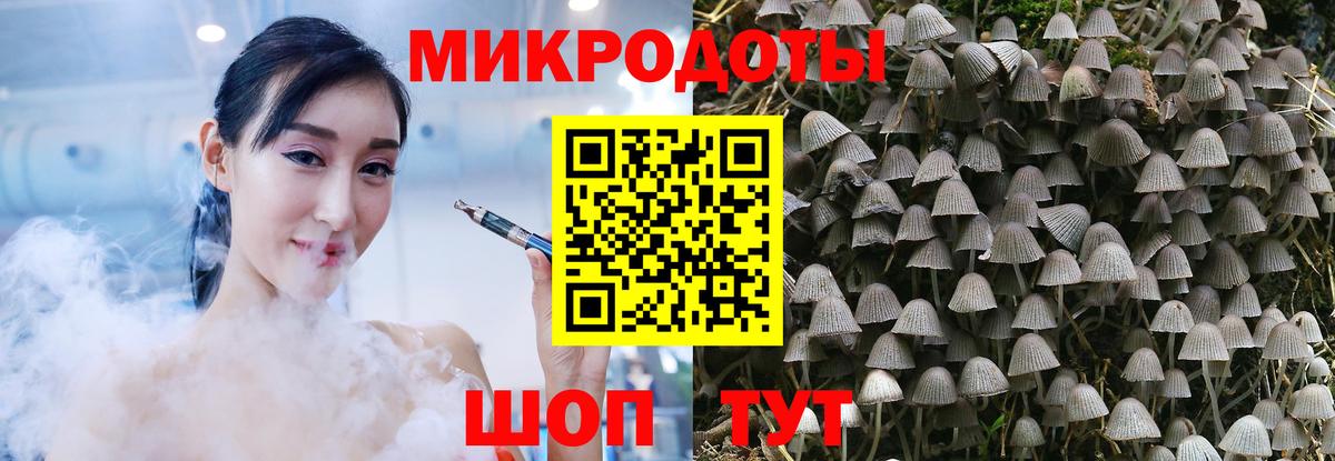 Галлюциногенные грибы Cubensis Выборг